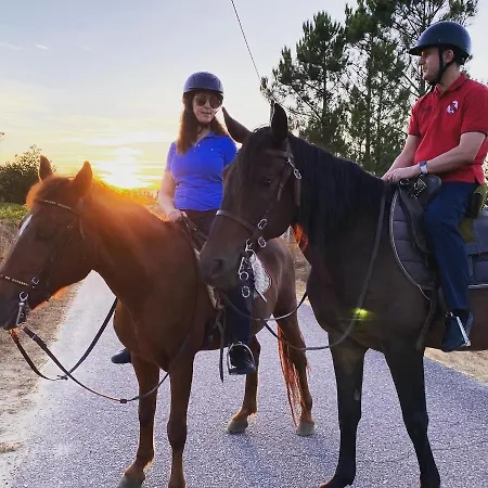 Casa D'avó Coragem Seia