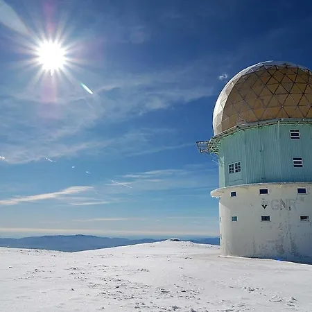 Apartamento Casa D'avó Coragem Seia