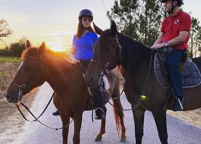 Casa D'avó Coragem Seia