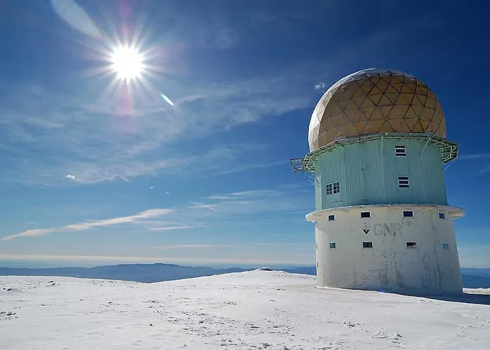 Apartamento Casa D'avó Coragem Seia